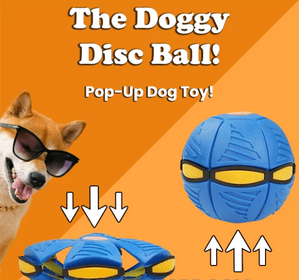 Limited Stock💥The Doggy Disc Ball💞50% OFF Today