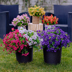🌸🌱High-Grade Material Artificial Flowers