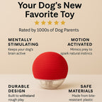 50% OFF🔥🔥Smart Interactive Dog Toy-BUY 2 FREE SHIPPING🎁