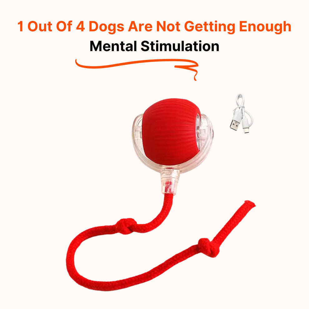 50% OFF🔥🔥Smart Interactive Dog Toy-BUY 2 FREE SHIPPING🎁