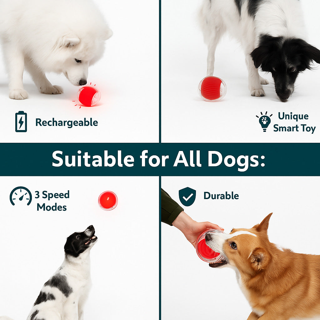50% OFF🔥🔥Smart Interactive Dog Toy-BUY 2 FREE SHIPPING🎁