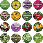 🎁Handmade flower resin🌸BUY 2 GET 10% OFF