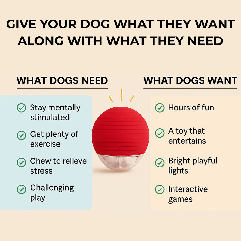 50% OFF🔥🔥Smart Interactive Dog Toy-BUY 2 FREE SHIPPING🎁