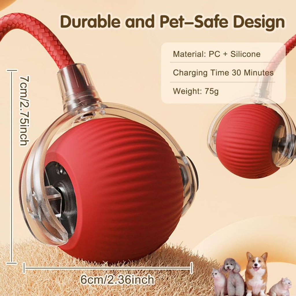 50% OFF🔥🔥Smart Interactive Dog Toy-BUY 2 FREE SHIPPING🎁