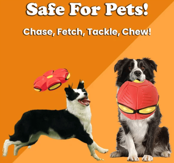 Limited Stock💥The Doggy Disc Ball💞50% OFF Today