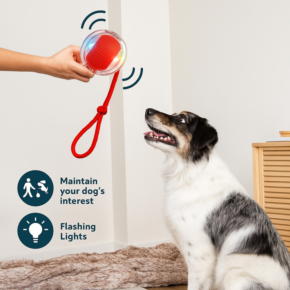 50% OFF🔥🔥Smart Interactive Dog Toy-BUY 2 FREE SHIPPING🎁