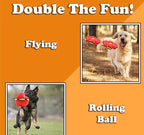 Limited Stock💥The Doggy Disc Ball💞50% OFF Today
