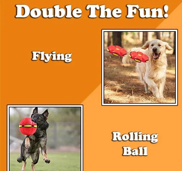Limited Stock💥The Doggy Disc Ball💞50% OFF Today