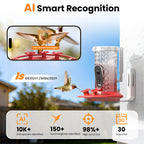 Smart Hummingbird Feeder Camera with AI Identification, 2.5K HD & Color Night Vision, Solar Powered Outdoor, IP66 Weatherproof – Garden Decor & Gift for Bird Lovers