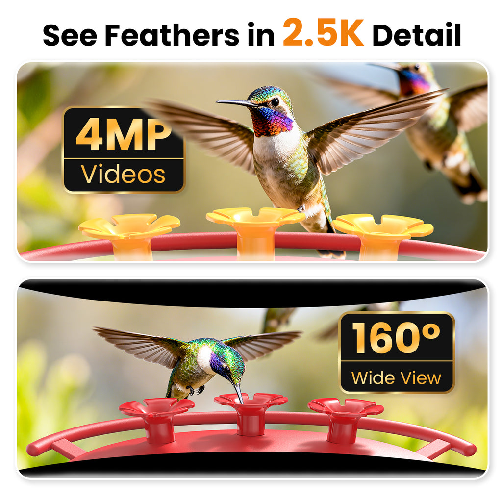 Smart Hummingbird Feeder Camera with AI Identification, 2.5K HD & Color Night Vision, Solar Powered Outdoor, IP66 Weatherproof – Garden Decor & Gift for Bird Lovers