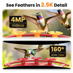 Smart Hummingbird Feeder Camera with AI Identification, 2.5K HD & Color Night Vision, Solar Powered Outdoor, IP66 Weatherproof – Garden Decor & Gift for Bird Lovers