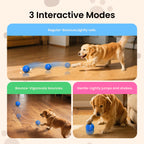 50% OFF Today🔥🔥Ollapet™ Smart Interactive Dog Toy Ball-BUY 2 10% OFF