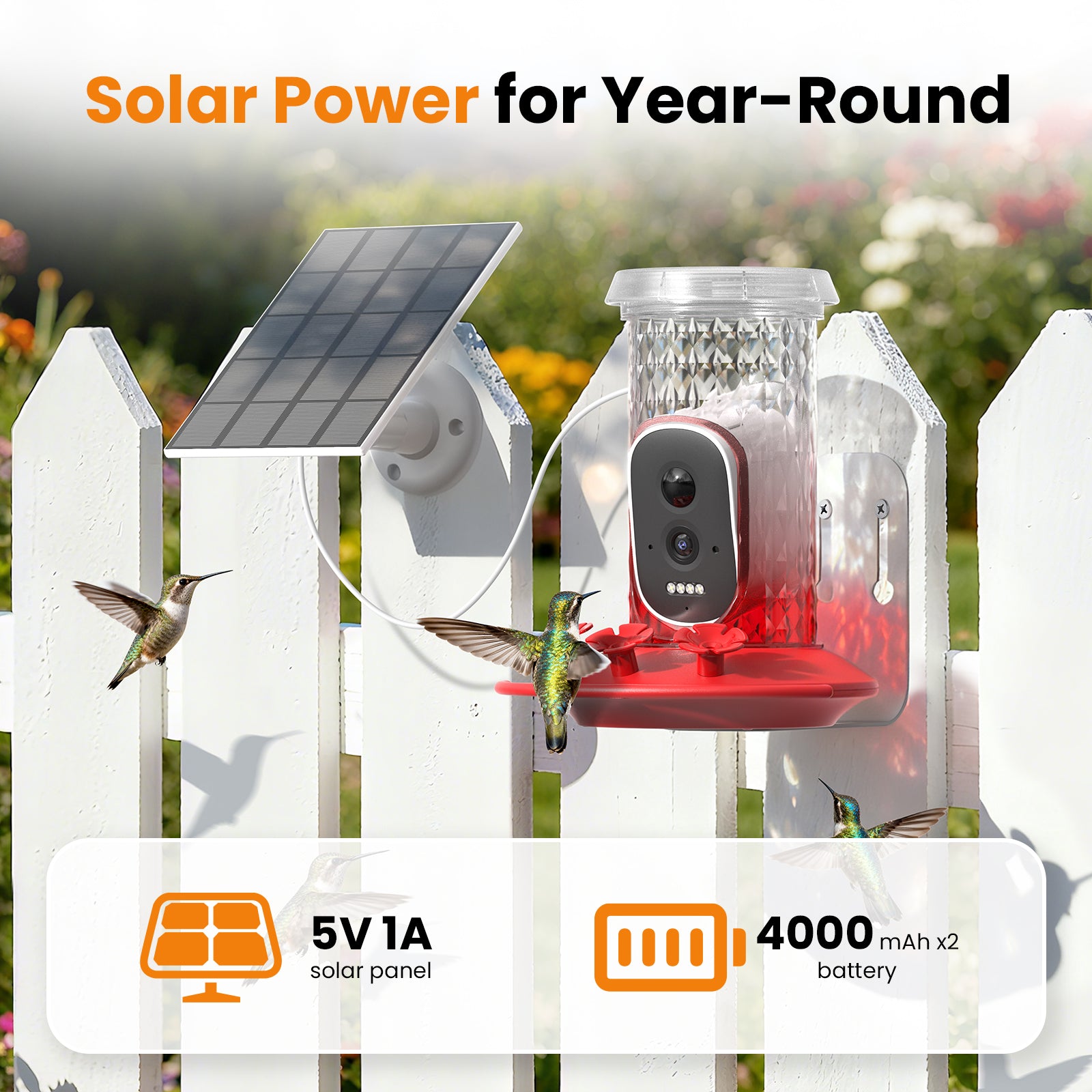 Smart Hummingbird Feeder Camera with AI Identification, 2.5K HD & Color Night Vision, Solar Powered Outdoor, IP66 Weatherproof – Garden Decor & Gift for Bird Lovers