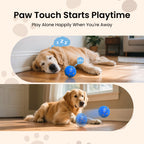 50% OFF Today🔥🔥Ollapet™ Smart Interactive Dog Toy Ball-BUY 2 10% OFF