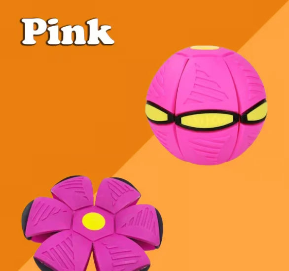 Limited Stock💥The Doggy Disc Ball💞50% OFF Today