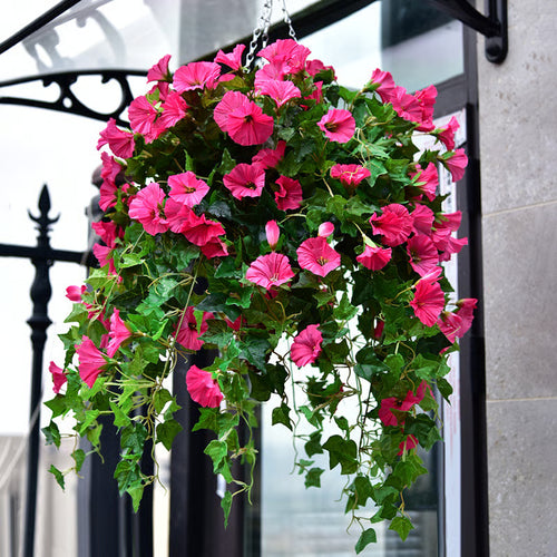 50% offer - UV Simulation Artificial flower🌸🌻