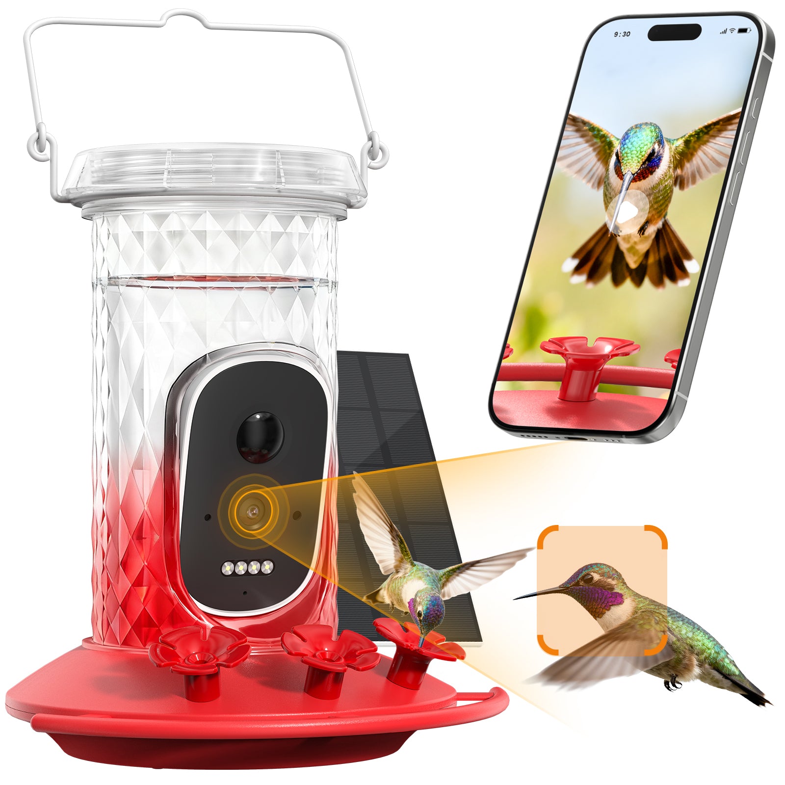 Smart Hummingbird Feeder Camera with AI Identification, 2.5K HD & Color Night Vision, Solar Powered Outdoor, IP66 Weatherproof – Garden Decor & Gift for Bird Lovers
